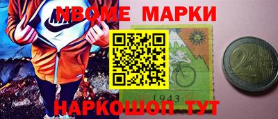 индика Кингисепп