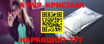 индика Кингисепп
