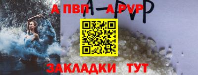 индика Кингисепп